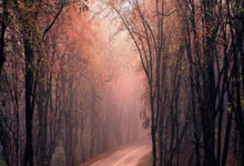 加斯佩里尼:输给国米后就失去了夺冠希望,但亚特兰大仍排名第三.