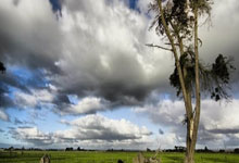 全网独家首发《赫拉德马丁战术分析》.:海星体育