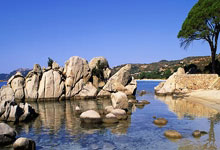 全网独家首发《赫拉德马丁战术分析》.:海星体育